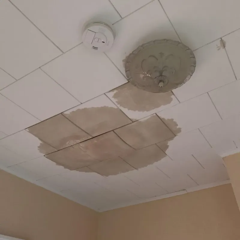 Ceiling Water Damage Repair in Wellsville, OH