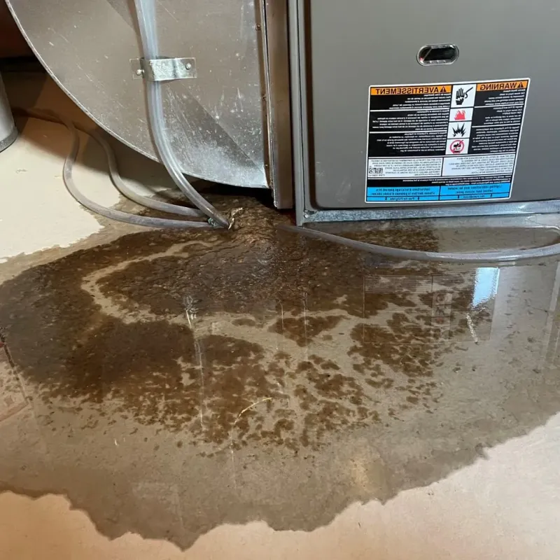 Pipe Burst and Leak Restoration in Wellsville, OH