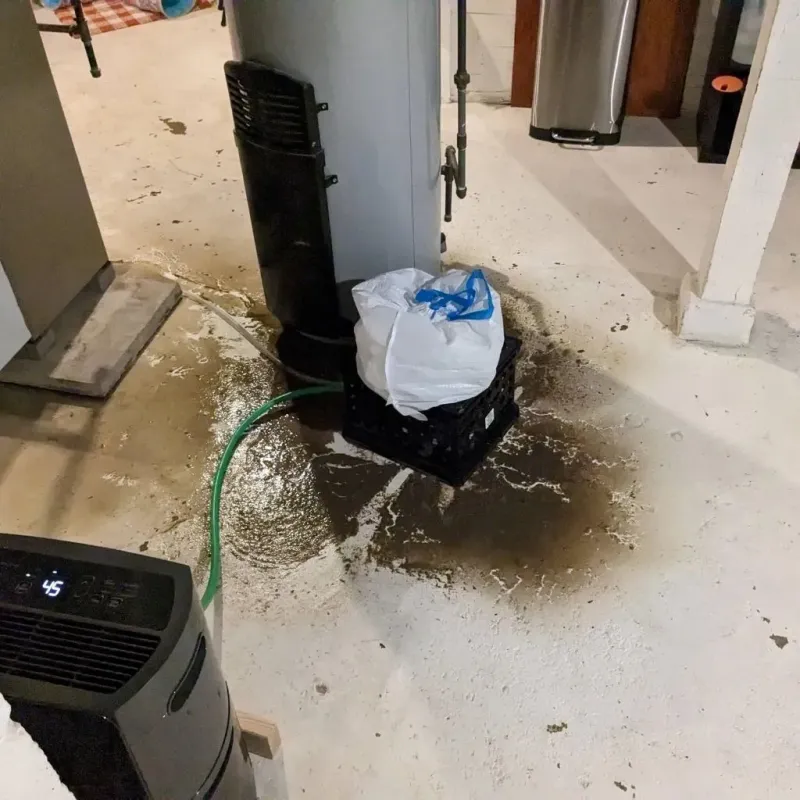 Sewage Backup Cleanup Service in Wellsville, OH